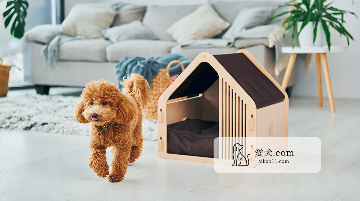 メモリアベビーフォトフレーム（木製・20枚入る写真フレーム